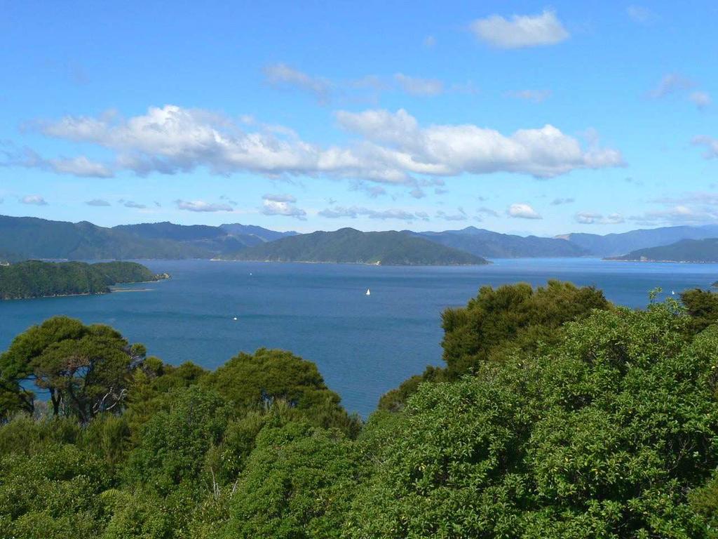 April March 20162014 Wavelength Chairman s Report F riends, Welcome once again to the Senior Net Marlborough Sounds Newsletter.