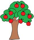 Don t stress out because apple trees can take up to 6 years to grow.