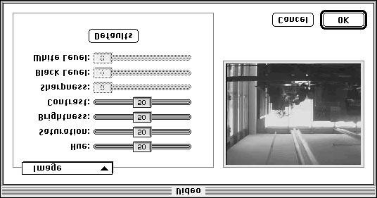 Compressor Here you can select the data format. Select miro DC20 Rec and the video clip will be recorded in the motion JPEG format. Never select miro DC20 MJPG here.
