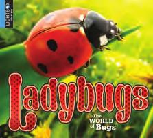 The World of Bugs Beginning readers are invited