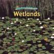 Water Habitats Discover the plants and animals that