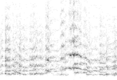 approach Target s spectrogram