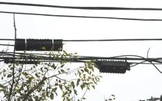 On these poles you will find high and low-tension wires, copper based cable tv and, at last, optical fiber connections. Everything on the same pole.