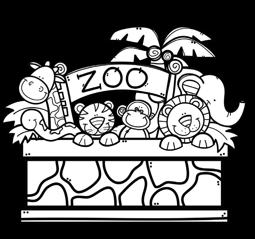 zebra zoo