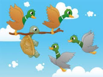 A Lesson on The Turtle and the Ducks by Angela Avery Grade Level: Grade 3 Subject Area: English Language Arts Lesson Length: 45 minutes Lesson Keywords: reading, writing, discussion,vocabulary Lesson