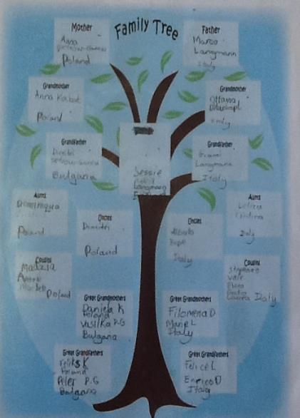 We then published the information into a family tree.