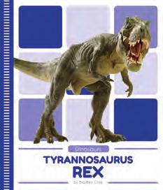 Dinosaurs From Brachiosaurus to Tyrannosaurus rex, this series introduces early readers to their favorite dinosaurs.