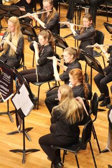 tertiary institutions, including the Sydney Conservatorium of Music and the Newcastle Conservatorium of Music. In 2010 he was appointed CoDirector of the DET Junior State Wind Band.