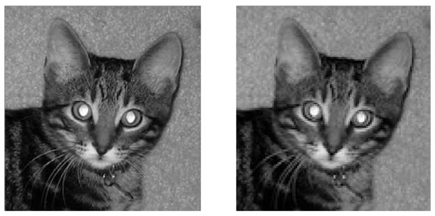 higher resolution images the left image is stored using 72pixels per square inch, and the right image is stored using 36pixels per square inch the left image appears sharp, but has twice the storage