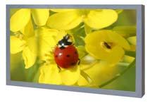 Specifications General General Model Name VT460X2 LCD Panel Size Display area Pixel Pitch 46 " Diagonal (117 cm) 1018.353 mm (H) x 572.544 mm (V) 0.7455 mm (H) x 0.