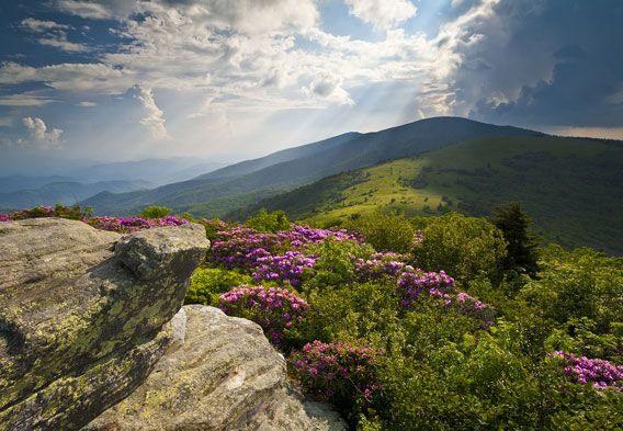 EIGHT days and SEVEN nights on the edge of the beautiful Blue Ridge Mountains When July 20-27, 2019