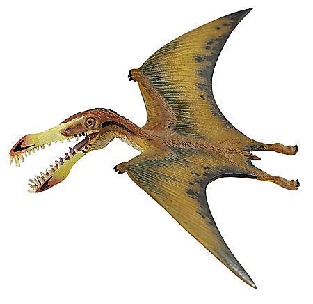 UNSEEN OMPREHENSION Read the following passage and answer the questions that follow. THE FLYING INOSUR When you think about dinosaurs, do you see in your imagination dinosaurs that could fly?