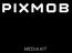 OVERVIEW. PixMob transforms: People into pixels, Crowds into displays, Events into shared memories.