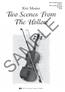 Kjos String Orchestra Grade 3 Full Conductor Score SO264F $6.00. Kirt Mosier. Two Scenes From The Hollow SAMPLE. Neil A. Kjos Music Company Publisher
