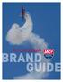 FLY THE DREAM BRAND GUIDE