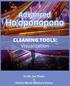 Advanced. Ho oponopono. CLEANING TOOLS: Visualization. By Dr. Joe Vitale & Guitar Monk Mathew Dixon