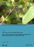 Faunistic Studies in South east Asian and Pacific Island Odonata Journal of the International Dragonfly Fund