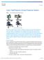 Cisco TelePresence Clinical Presence System