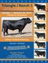 Triangle J Ranch. 24th Annual Production Sale. Sunday January 26, :00 PM CST at the Ranch