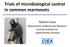 Trials of microbiological control in common marmosets