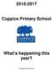 Coppice Primary School