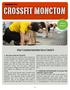 CROSSFIT MONCTON. What I Learned from Being Bad at CrossFit. September 2014