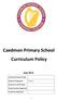 Caedmon Primary School Curriculum Policy