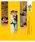 MTN Group Limited. Integrated Business Report for the year ended 31 December 2008 Book 1 MTN Group Overview