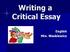 Writing a Critical Essay. English Mrs. Waskiewicz