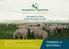 TERMINAL & MATERNAL. ON FARM AUCTION Friday December 21, Commencing at 12pm Inspection from 10am Ram Auction Sale