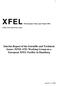 Interim Report of the Scientific and Technical Issues (XFEL-STI) Working Group on a European XFEL Facility in Hamburg