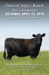 2016 Dimond Angus Ranch Bull Sale