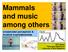 Mammals and music among others