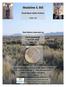 Madeline S. Bill. Great Basin Indian Archive GBIA 047. Oral History Interview by. Norm Cavanaugh April 24, 2015 Jiggs, NV