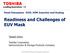 Readiness and Challenges of EUV Mask