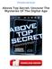 Above Top Secret: Uncover The Mysteries Of The Digital Age PDF
