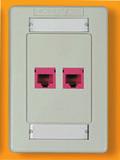 The faceplate can be attached to standard electrical boxes or wall-mounting hardware for flush-mount installations.
