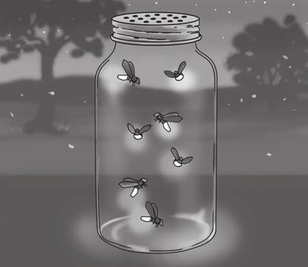 irections: Read the article and answer the questions that follow. The Mystery of the lashing ireflies 1 uring summer nights fireflies flash in the darkness.