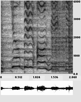 6.5 Percussion scalograms and musical rhythm 237 1600 566 (a) (b) 200 FIGURE 6.8 Time-frequency analysis of a passage from the song Buenos Aires. (a) Spectrogram.