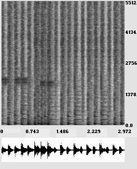 238 6. Beyond wavelets (a) Passage from El Matador (b) Passage from Buenos Aires FIGURE 6.9 Spectrograms from two percussion sequences.