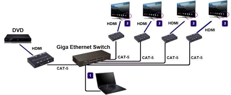 Transmitter and Receiver IP address will be shown in the lower right corner.