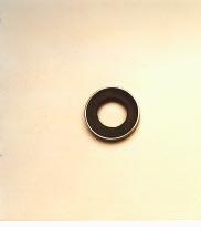 Valve Sprig SG100-102-A-002 Valve Seat Replacemet seal for