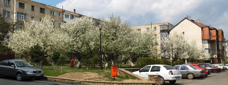 Plan de marketing urban 35 Cel mai mare centru urban al judeţului Suceava din punct de vedere demografic este reşedinţa de judeţ municipiul Suceava (107.