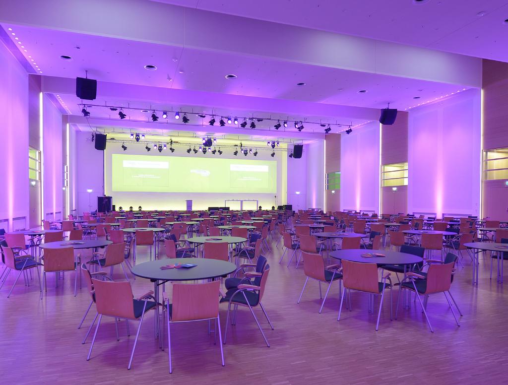 HALL HORIZONT Projection PROJECTION PACKAGE STANDARD Projection onto existing projection area with a 21,000 Ansi Lumen DLP projector incl.