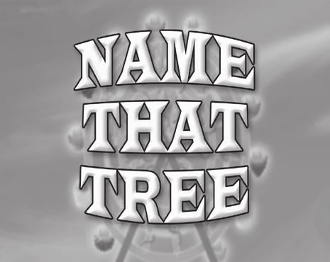 (CD Track # 6) Note: Play Name That Tree Video chapter 3. 3 4 name that tree intro bark of an orange tree 4 TeACHER Here s how this game works.