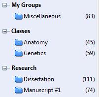 EndNote X6 uses a combination of Groups and Group Sets to help you organize and categorize your citations: