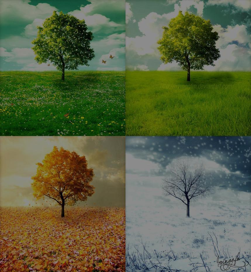 The Four Seasons Four movements (spring summer fall winter) each movement goes fast, slow, fast violins and a full