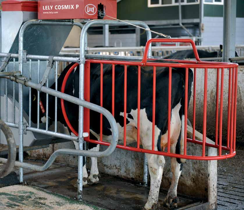 Distribuitorul Lely Cosmix dacă vacile merită puţin mai mult Hrănirea individualizată a vacilor este un mod acceptabil de a gestiona starea corporală a vacilor.