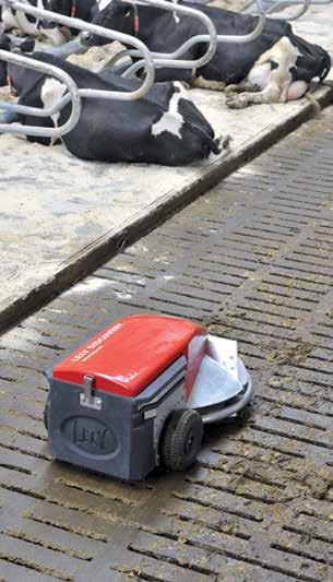 Robotul mobil de curăţare a adăposturilor Lely Discovery se deplasează prin adăpost fără a deranja animalele.