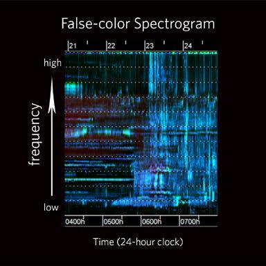 Part 2: Soundscape Saturation Student Handout Teacher Answer Key Soundscape Saturation False-color spectrograms visualize the bandwidths of sound filled over time while also showing a variety of